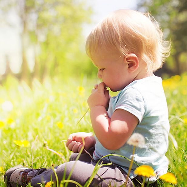 hayfever_myths_and_facts_row_5