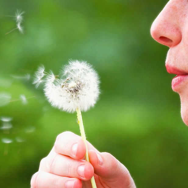 hayfever_tips_for_contact_lens_wearers_row_3